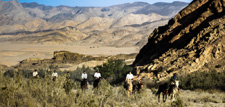 Namibia-Namibia-Great Namibian Desert Trail